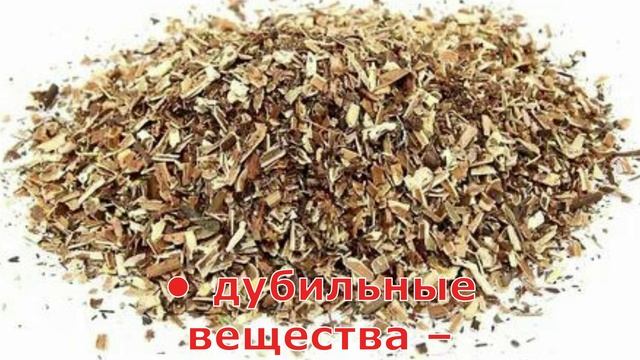 Сабельник рецепты.