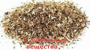 Сабельник рецепты.