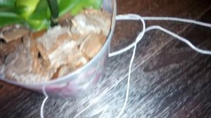 Кашпо за 10 секунд!Или, как быстро подвесить горшок! Быстро, просто, без хлопот и лишних затрат!