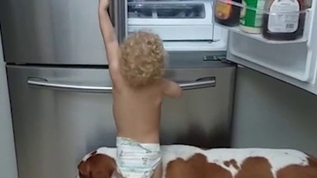 организованная преступная группировка грабит холодильник) смотреть онлайн