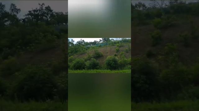 Дорога на дачу смотреть онлайн