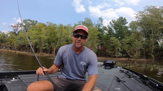 The "BORING" Big Worm (One piece of info you've never heard before) смотреть онлайн