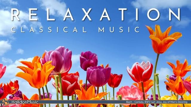 Classical Music For Relaxation: Chopin, Bach, Mozart...