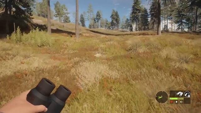 We're Back! | Hunting Revontuli Coast Today! | LIVE! смотреть онлайн