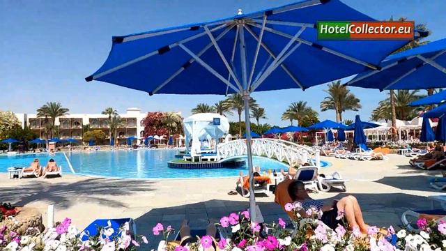 DESERT ROSE RESORT, HURGHADA, EGYPT смотреть онлайн