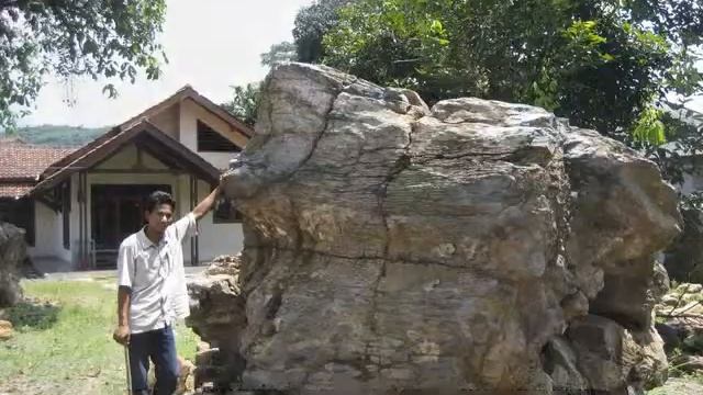 Java Indonesia Fossils смотреть онлайн