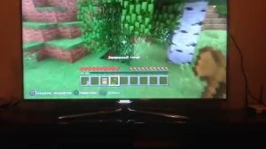 Прохождение minecraft на playstation 3 1-я часть ДЕРЕВНЯ))))))