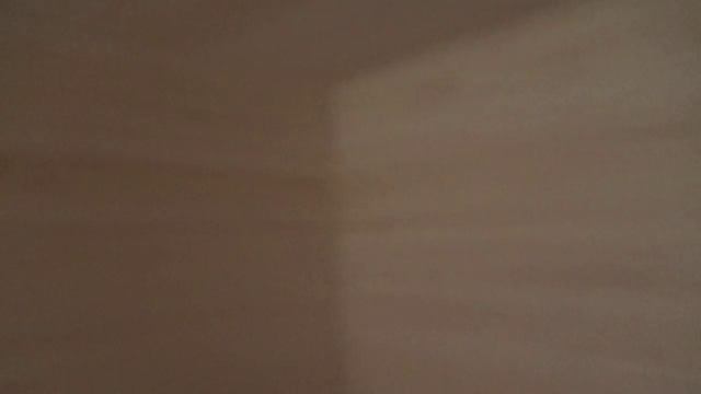 Дачный каркасный дом 6.0х6.0м. "Ящера". Цена в СПб 275 060 руб смотреть онлайн