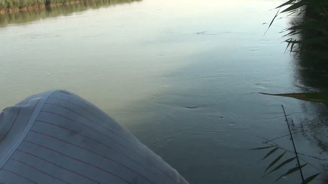 Сом.MTS смотреть онлайн