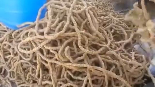 Экструдирование гнилого зерна смотреть онлайн