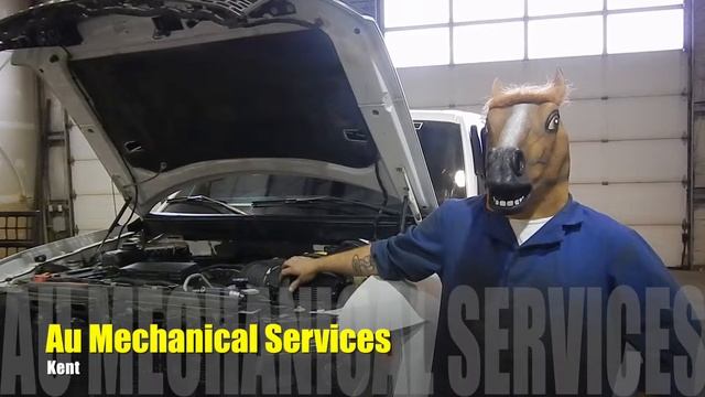 Used 2013 Ford F 150 SVT Raptor 4x4 SuperCrew Cab 5 5 ft box Red Deer, Alberta смотреть онлайн