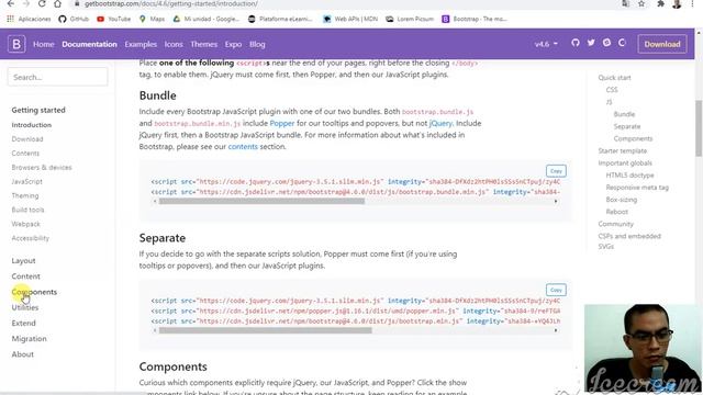 COMO APLICAR BOOTSTRAP en nuestro proyecto en 2,16 MINUTOS!!! смотреть онлайн