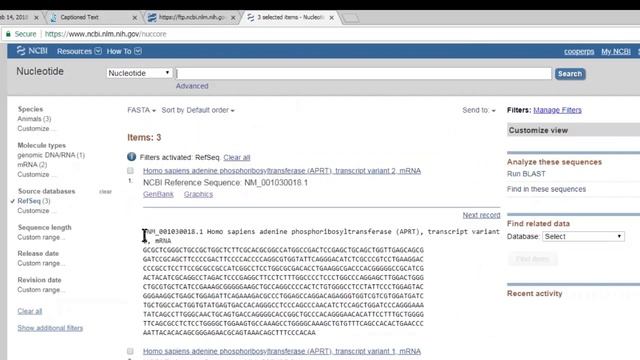 NCBI Minute: How to Quickly Retrieve Sequences from NCBI смотреть онлайн