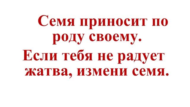 Царская Слава Урок 4. Умножение Славы смотреть онлайн