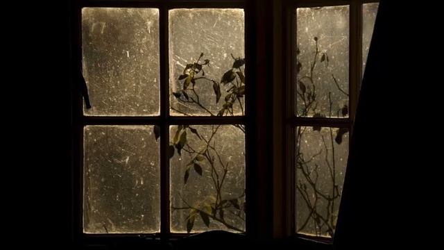 Сердце бешено стучит смотреть онлайн
