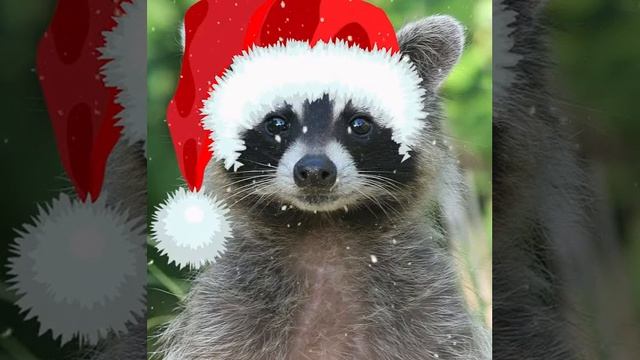 САМЫЕ ИНТЕРЕСНЫЕ ФАКТЫ О ГЛУБОКОВОДНОМ ДАМБО! (Познавательное видео для детей с Енотом Почемучкой) смотреть онлайн