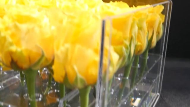 Аквабокс для цветов из оргстекла смотреть онлайн