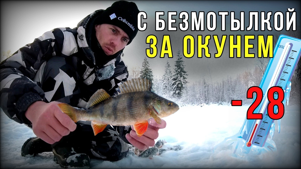 Отличный клёв окуня на безмотылку.Зимняя рыбалка на таёжном ручье смотреть онлайн