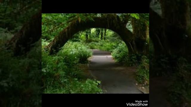 pedaleira zoom g1 next. смотреть онлайн