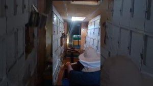 Заселяем пчелопавильон. Зимовка пчелосемей закончилась