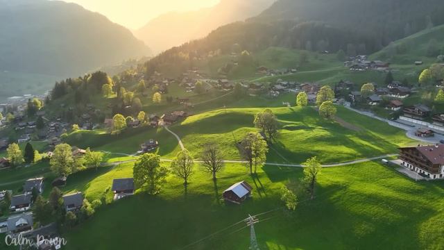 Нежная музыка, успокаивает нервную систему и радует душу, Детокс негативных эмоций #3 смотреть онлайн