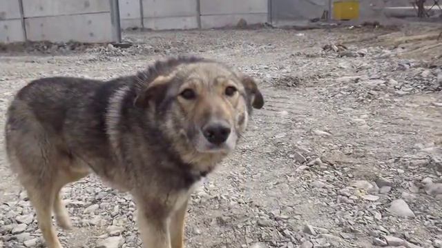 S.D.E. Мозжухинский карьер 2012г..mpg смотреть онлайн