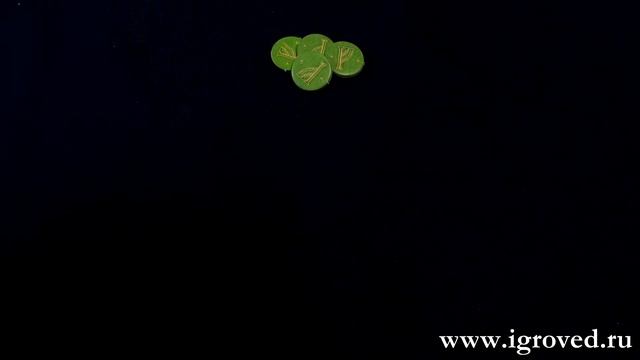 Охота за кольцом. Обзор настольной игры от Игроведа смотреть онлайн
