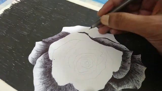 How to draw|Realistic Rose Easily|Scrible Drawing Pen Art|Tutorial|Step by Step|Lock Down Pass Time смотреть онлайн