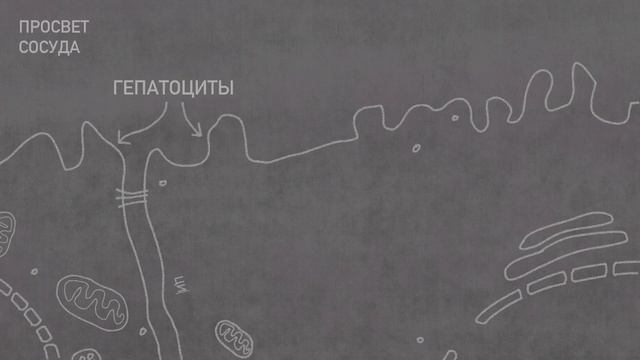 Инклисиран (+eng Subtitles).