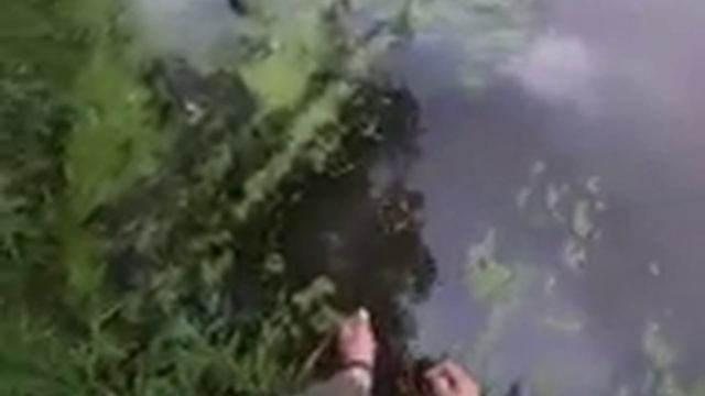 выезд на ночную рыбалку с донками смотреть онлайн