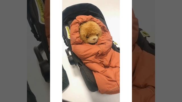 Easygrow Ferd Mini og Maxi bilstolposer смотреть онлайн