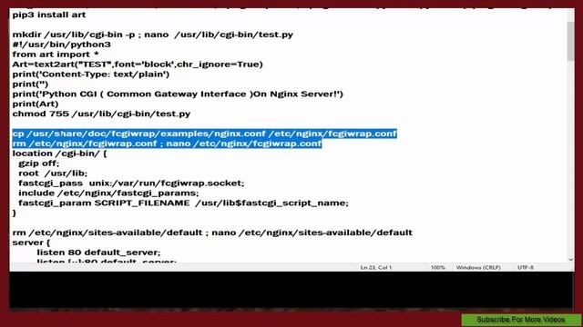 Python CGI On Nginx смотреть онлайн