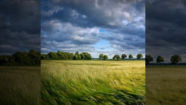Wind смотреть онлайн