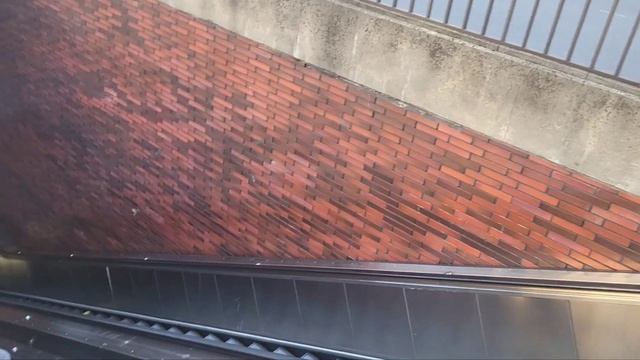 Bay Area. Oakland. Город Окланд. Выбираем город для жизни в Калифорнии. Vlog Olga Polik смотреть онлайн