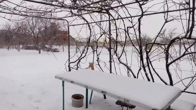 "Дача зимой" январь 2017 смотреть онлайн