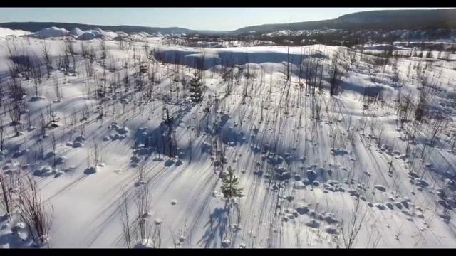 Охота на косулю смотреть онлайн
