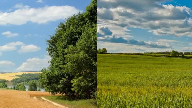 Любэ и СпН Альфа. По высокой траве. Музыкальный ролик. смотреть онлайн