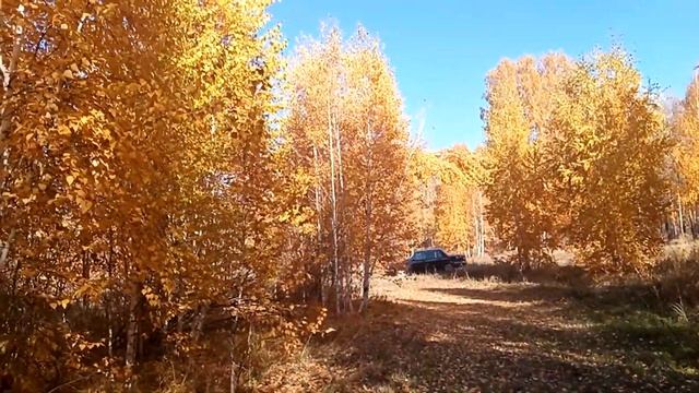 С днём рождения ПЯ 1214 ячейка нового мира Стих Андрея Плетенчука смотреть онлайн