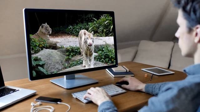 Привязка движения в программе After Effects