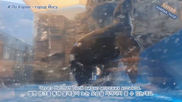 [По Корее] Путешествие в Йосу - море, пляжи и острова | 한국 여수 여행 러시아어 소개 смотреть онлайн