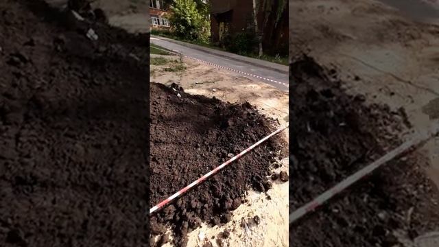 Отличие чернозема от торфа смотреть онлайн