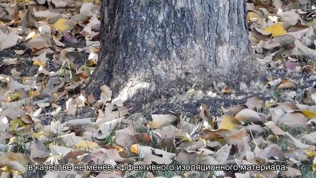 Ученые разработали аналог пенополистерола из отходов: дешево и экологично смотреть онлайн