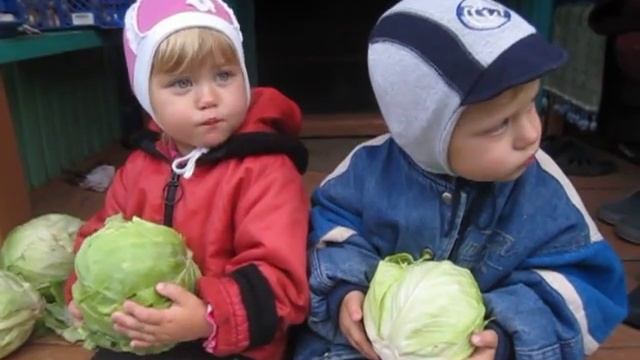 Кого нашли в капусте? смотреть онлайн