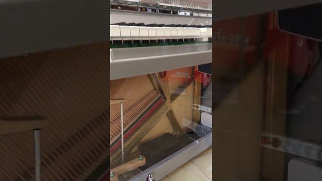Piano Automatique PianoDisc Petrof Chypre Vidéo 2 смотреть онлайн
