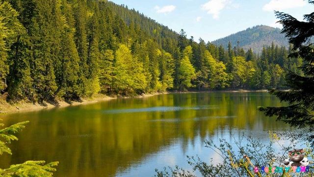 Что такое природа, Красная книга, дары природы и заповедник? - для детей. HD смотреть онлайн