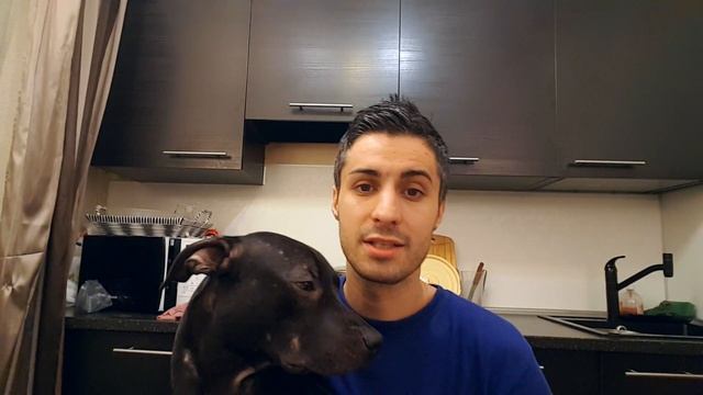 Стаффордширский терьер и дети!) смотреть онлайн