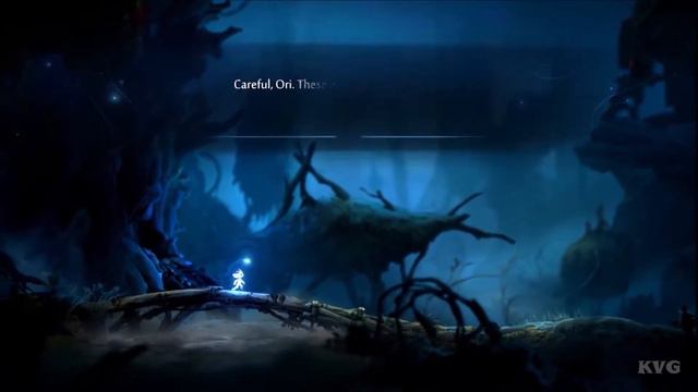 День любви и радости