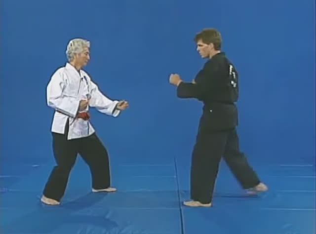 Хапкидо - техники пурпурного пояса. смотреть онлайн