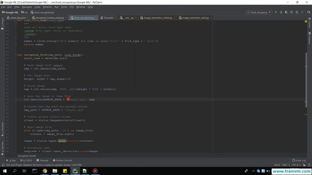 Food Recognition with Python + Google Vision + OpenCV смотреть онлайн