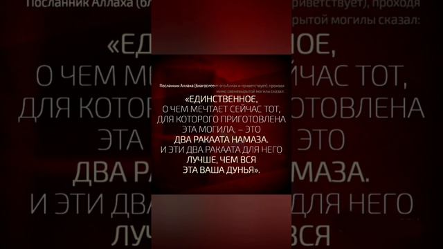 о Аллах прости нас 🤲 #напоминание #истории #хадисы#каран#намаз# смотреть онлайн